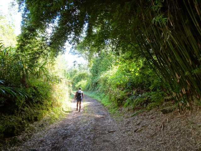 La piste en direction de la route de Grand Îlet et de la Rivière des Fleurs Jaunes