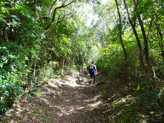 Le superbe sentier n°3 du Trail Salazie