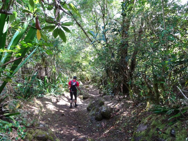 Faible descente dans une belle végétation