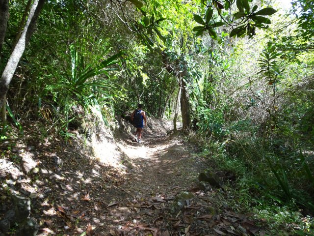 Le sentier semble entretenu régulièrement