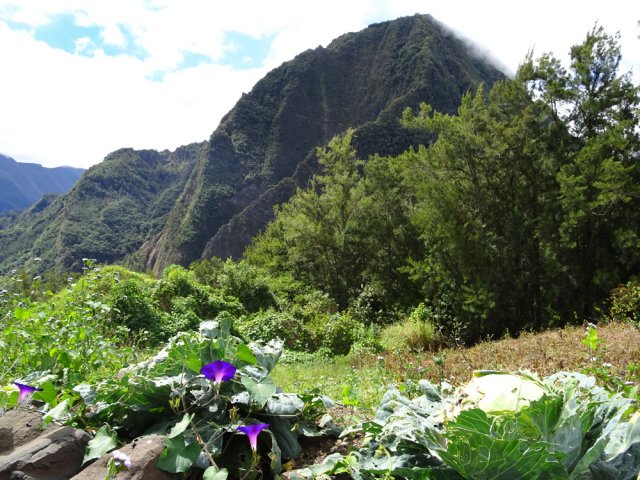 La piste qui rejoint le GRR1 à travers champs