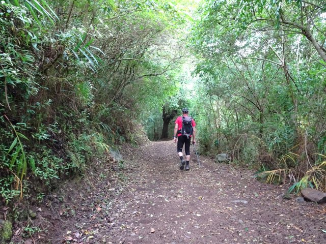 Direction Grand Sable sur une très agréable piste ombragée