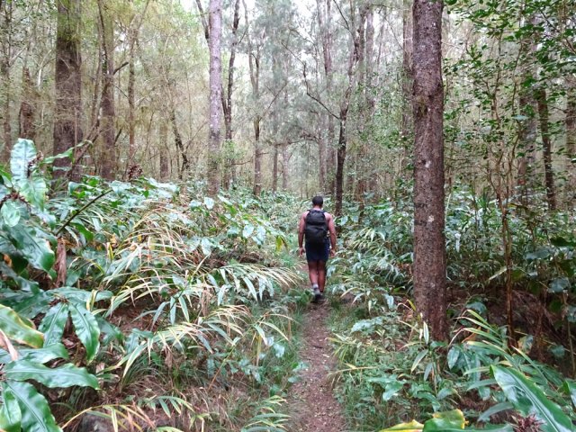 Le sentier de Trou Blanc débute dans les longoses