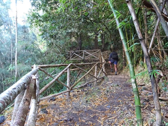 Quelques fortes montées du côté des bambous