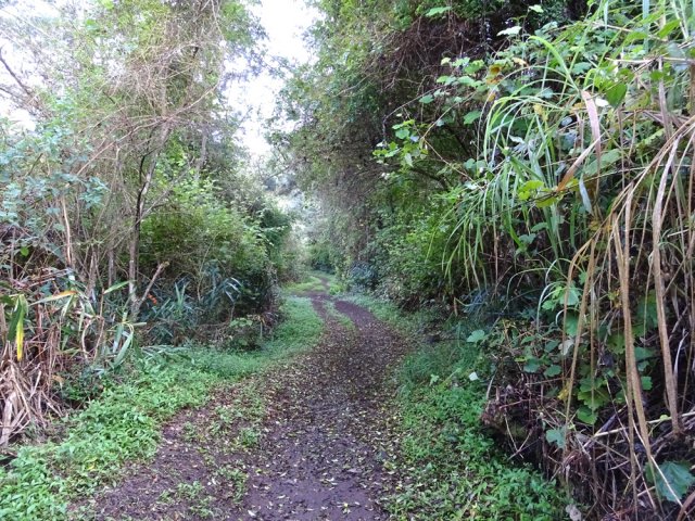 Le sentier se transforme en piste aux alentours de la Mare d'Affouches
