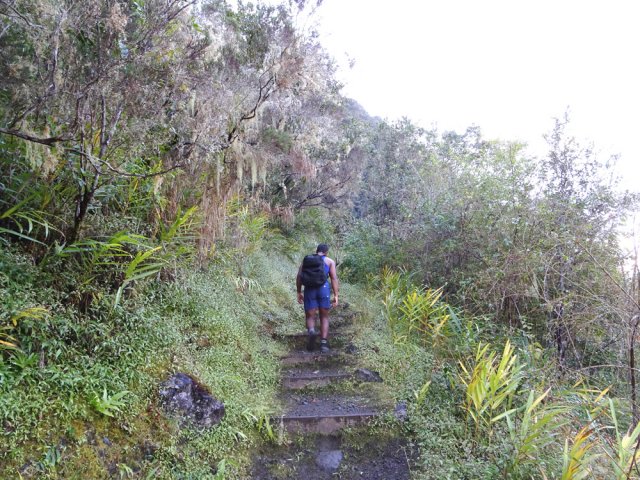 Début de la longue grimpée jusqu'au sommet