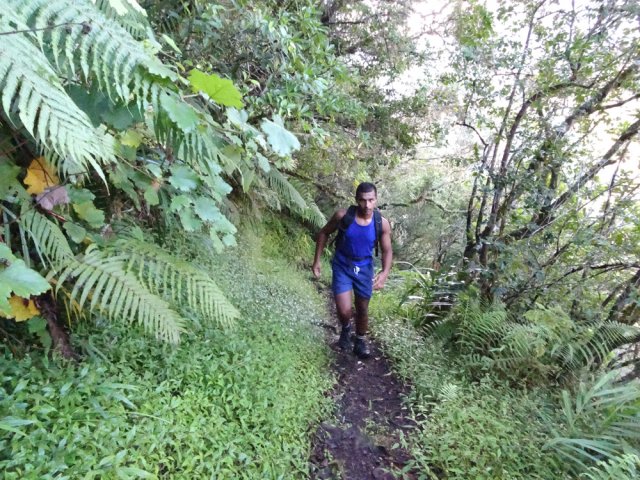 Très rares portions plates ou en faible pente