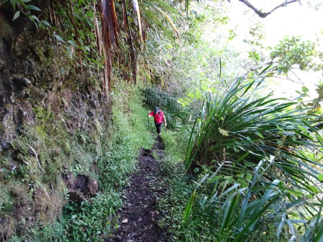 Attention aux jouvences qui peuvent masquer le vide en bord de sentier