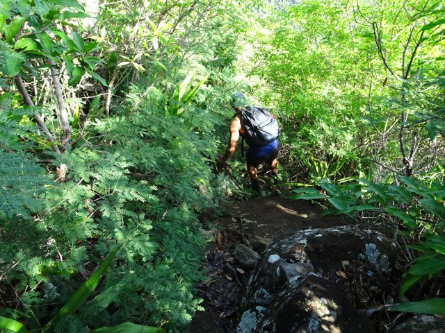 Les 10 premiers mètres de la descente sont les moins marqués