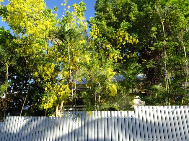 Malgré les travaux alentour, la verdure est omniprésente