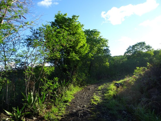 Début de la montée du chemin caillouteux