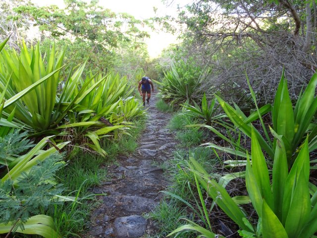 Les premières portions pavées font leur apparition