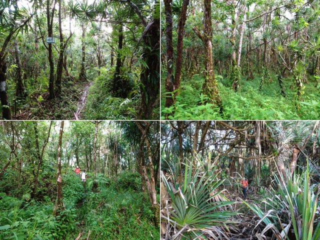 Le sentier étroit qui rejoint le Quai de l'Eglise