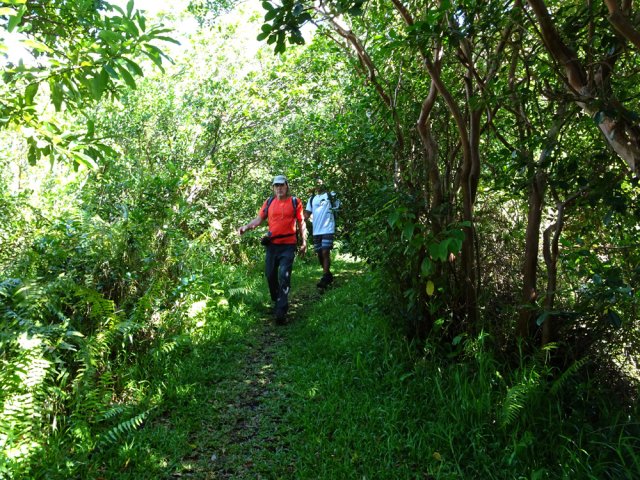 Large sentier agréable jusqu'à la route de l'Anse des Cascades