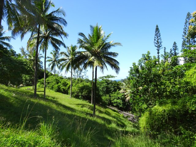 Le petit sentier de raccourci entre les lacets de la route