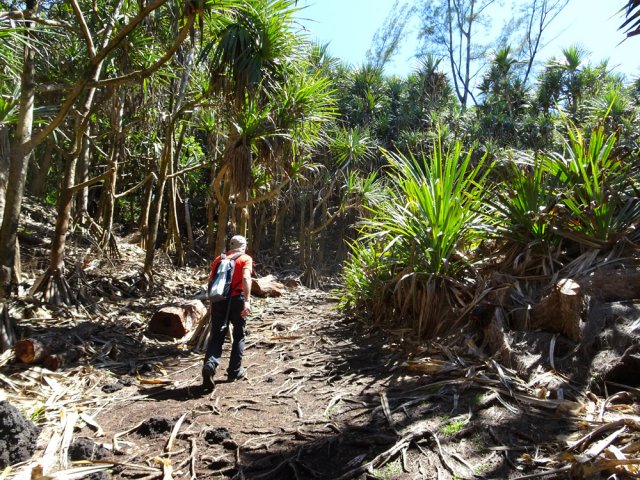 Poursuite sur un terrain plus sec en longeant le littoral