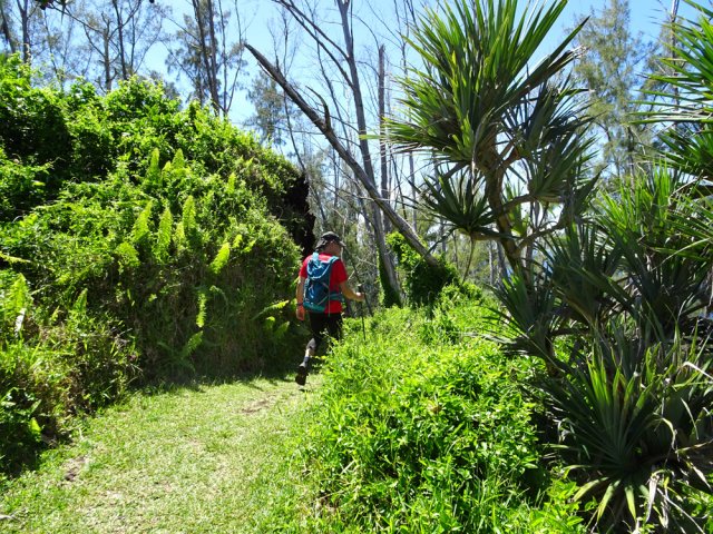 Sentier large et bien entretenu