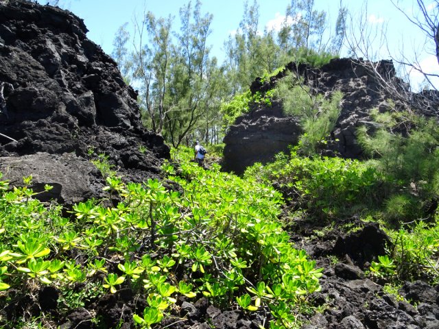 ... Mais le sentier est principalement caillouteux