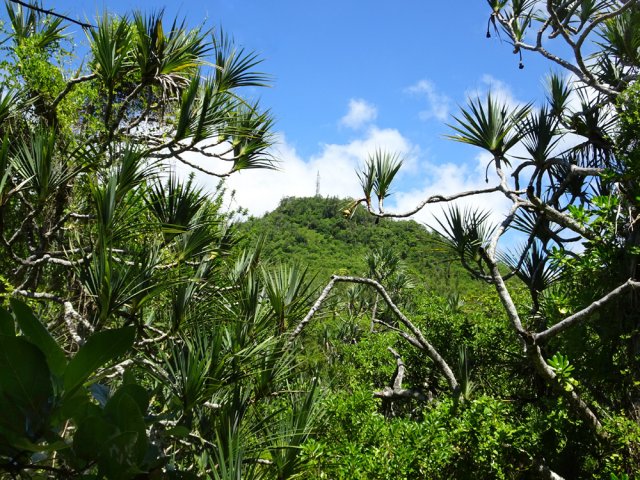 On contourne le Gros Piton par l'est