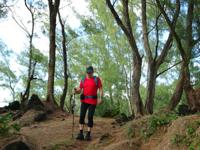 Beaucoup de filaos quand il n'y a pas de pandanus