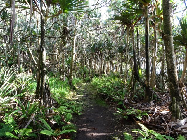 Paysage familier sur une grande partie du trajet vers Bois Blanc