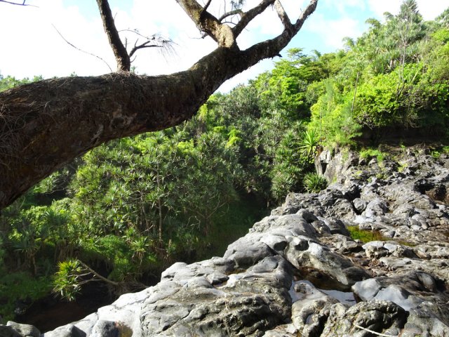 Traversée de la Ravine de Bois Blanc