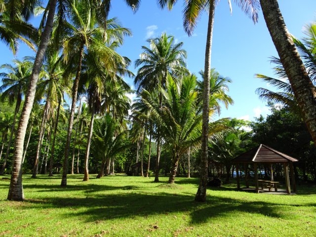 Grande aire de repos à Bois Blanc