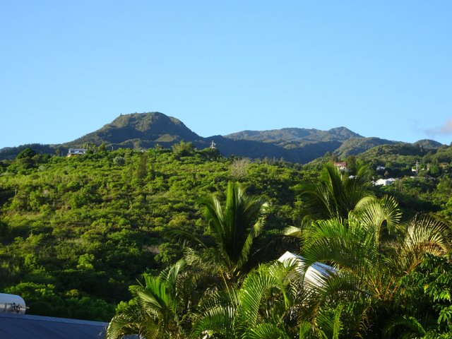 Le Pic Adam, de l'autre côté de la Ravine des Patates à Durand