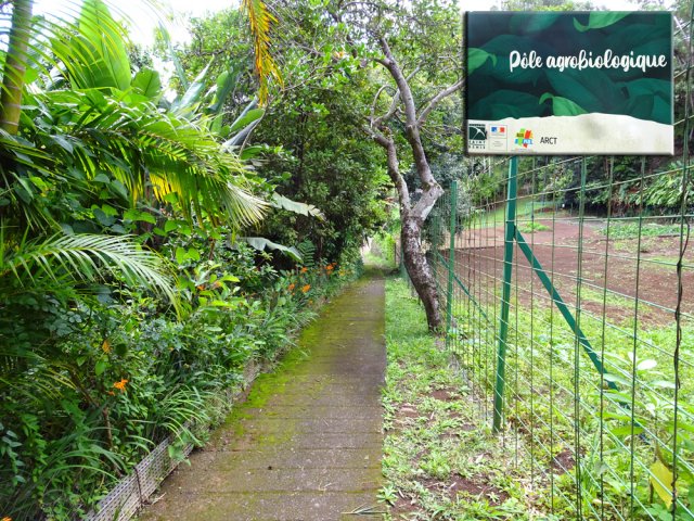 N-ième raccourci moussu et glissant par temps de pluie