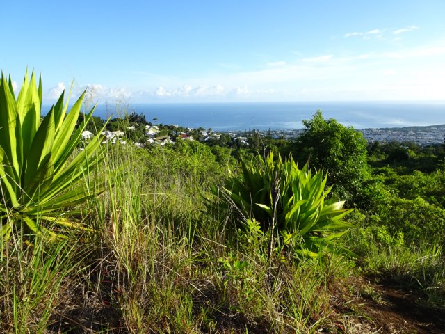 Plus on s'élève et plus les panoramas s'agrandissent
