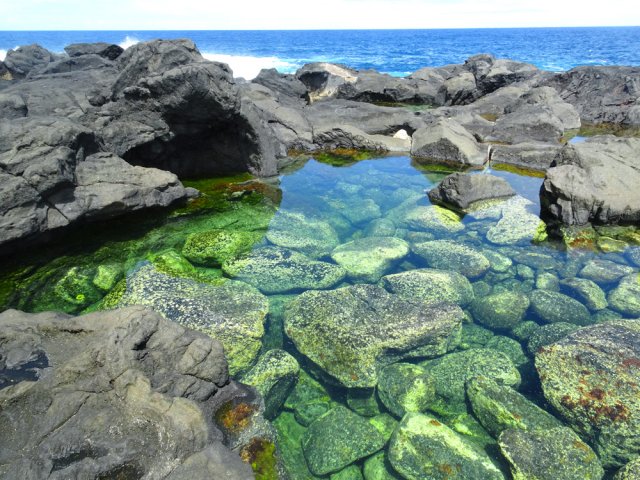 Plusieurs bassins de la Marine de St-Philippe peuvent se garder pour la fin