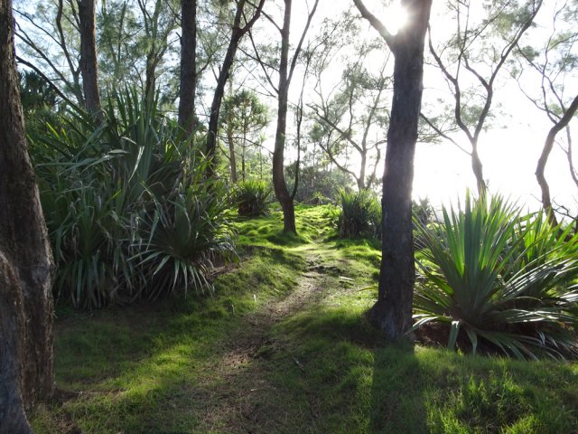 Le sentier officiel et celui des pêcheurs se confondent sur une centaine de mètres