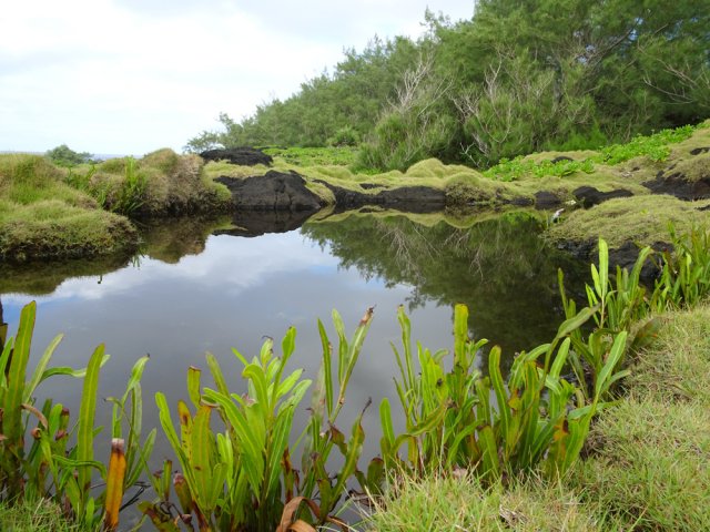 L'eau de pluie crée de belles petites mares à deux pas de la falaise