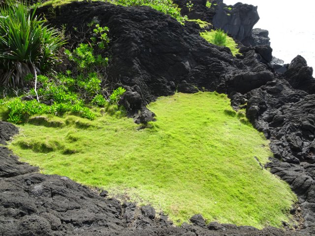 "Coup de cœur" pour cette aire idéale pour y passer la Saint-Valentin