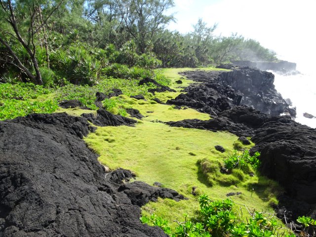 Une grande partie de la traversée s'effectue sur ce magnifique gazon