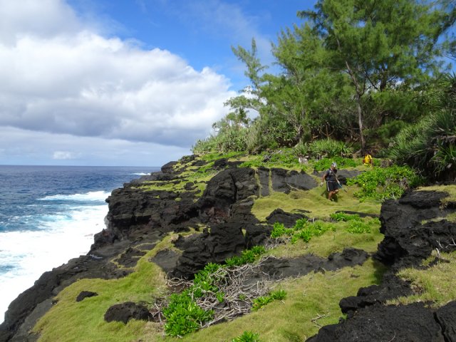 Quelques filaos occupent le haut des falaises
