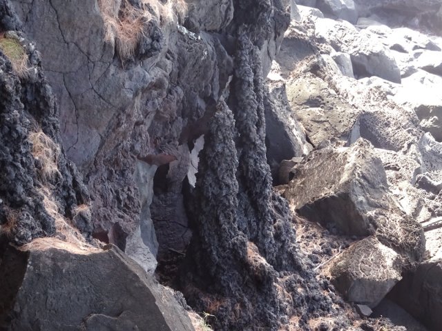 De superbes stalagmites de lave fondue dépassent les deux mètres