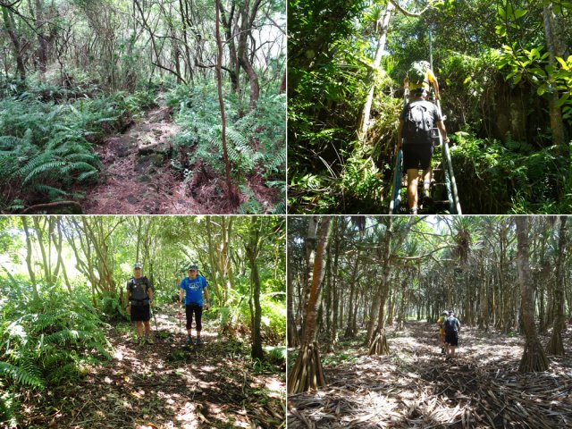 Le retour par le sentier du Tremblet prend seulement une heure