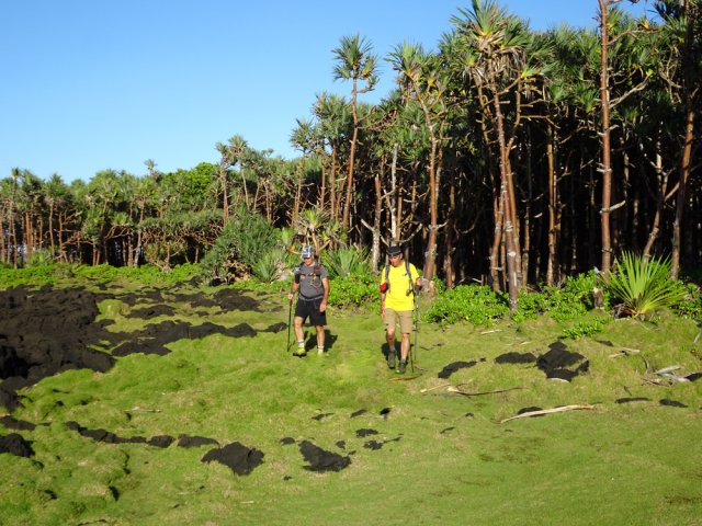 Balade facile entre vacoas et les premières falaises