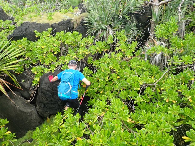 C'est un peu plus délicat dans les maniocs marrons mais on passe
