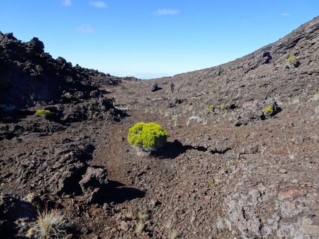 Le terrain s'assagit à l'approche de la Plaine des Sables