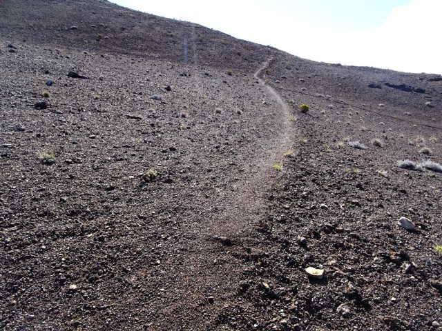 On voit bien que ce sentier est assez fréquenté