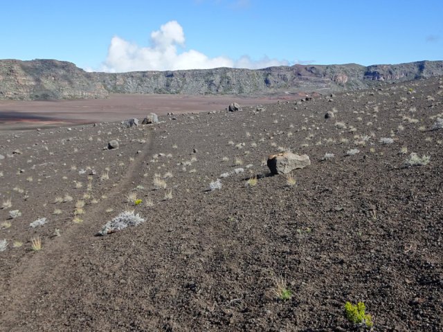 Elles sont régulièrement réparties sur tout le flanc ouest du Chisny