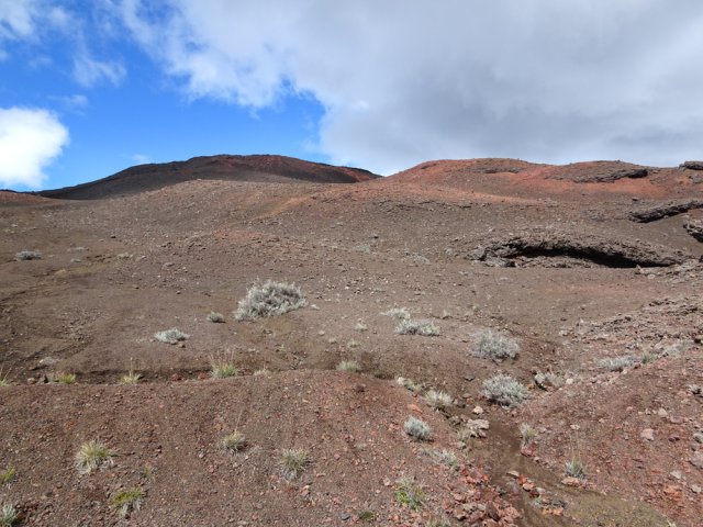 Plusieurs passages permettent de rejoindre la route forestière