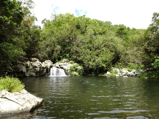 Le bassin de confluence entre le Bras Laurent (G) et la Rivière Sainte-Suzanne (D).