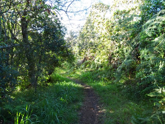 Le sentier est toujours aussi plat