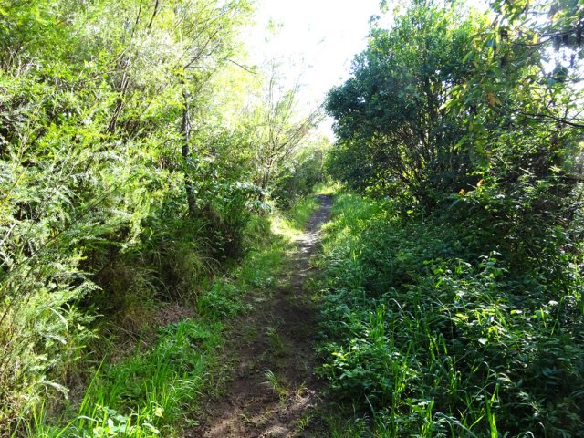 Les passages réguliers empêchent l'herbe de pousser trop vite