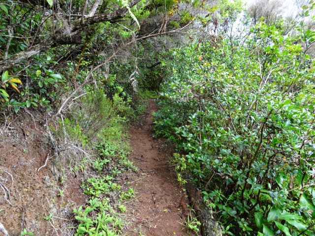 Une autre portion du sentier