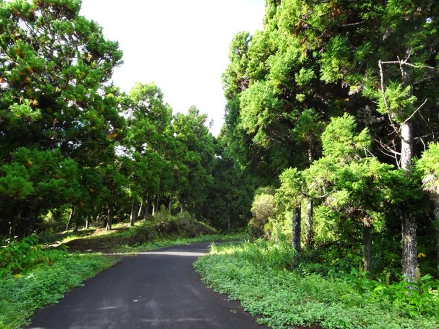La marche s'effectue sur une très faible descente