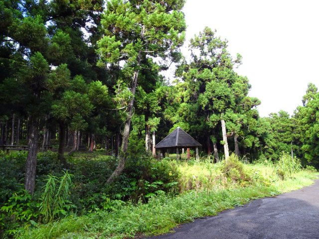 De nouveaux kiosques peuvent accueillir des familles en pleine forêt